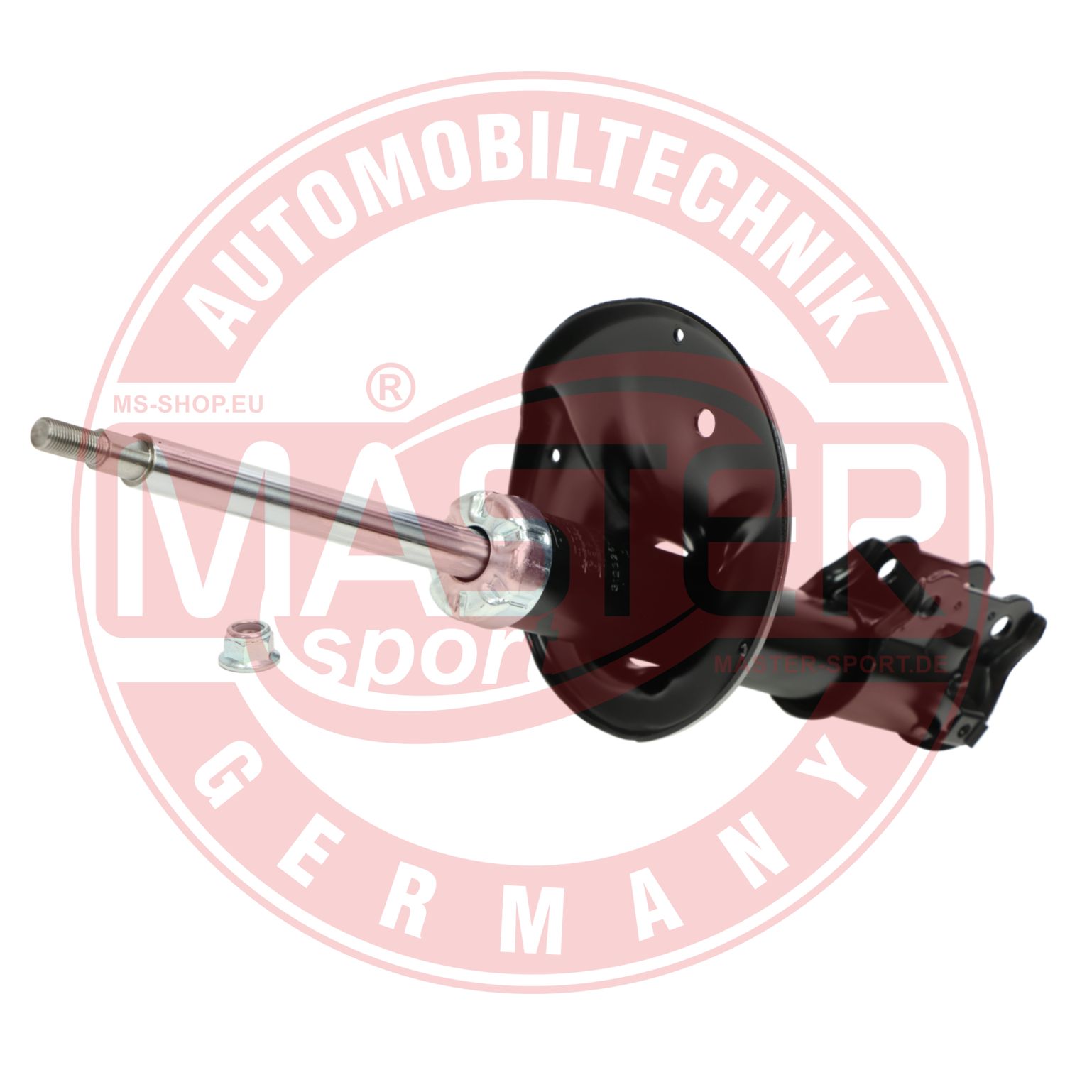 312326-PCS-MS