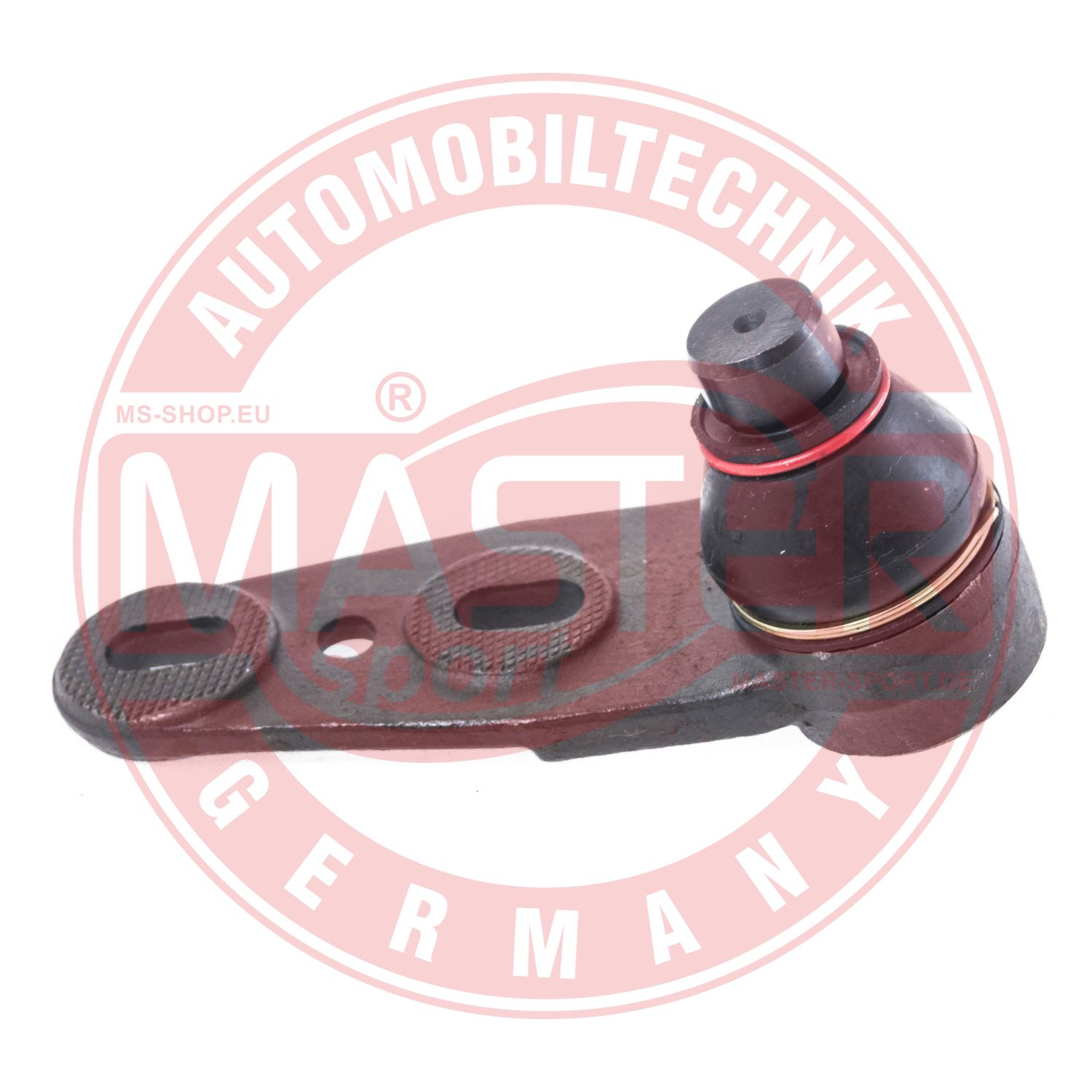 10028-PCS-MS