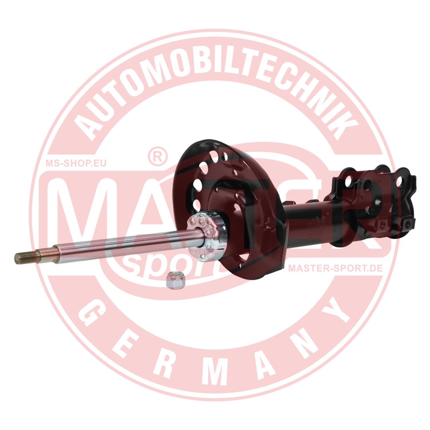 314010-PCS-MS