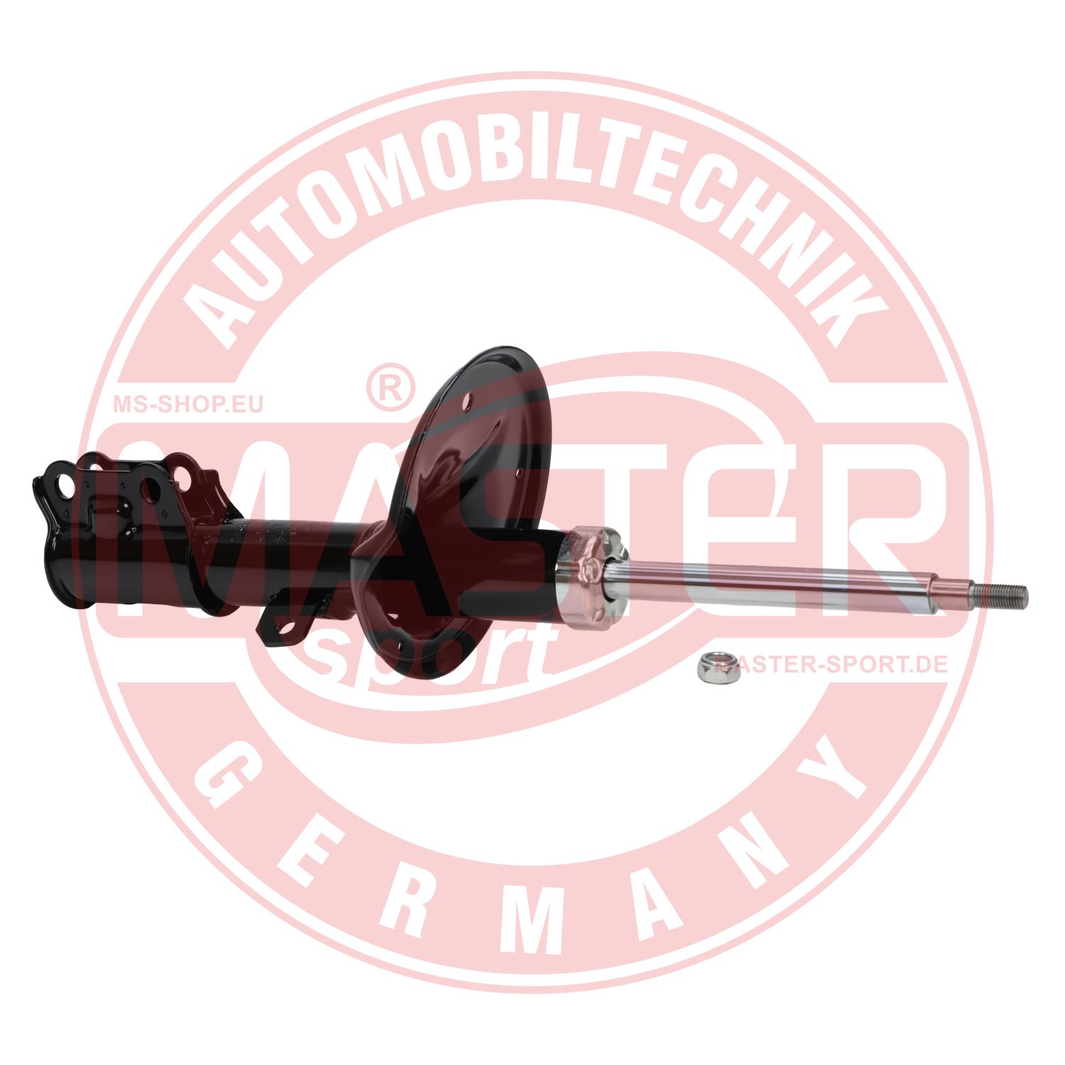 312579-PCS-MS