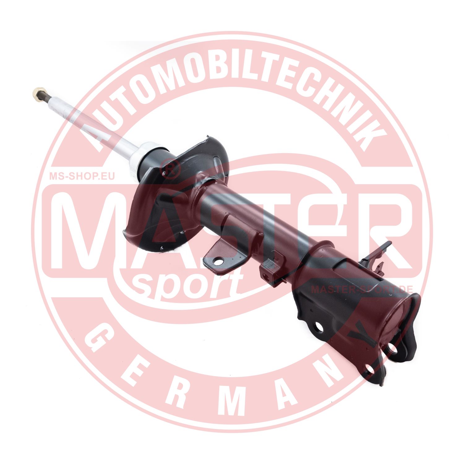 312328-PCS-MS