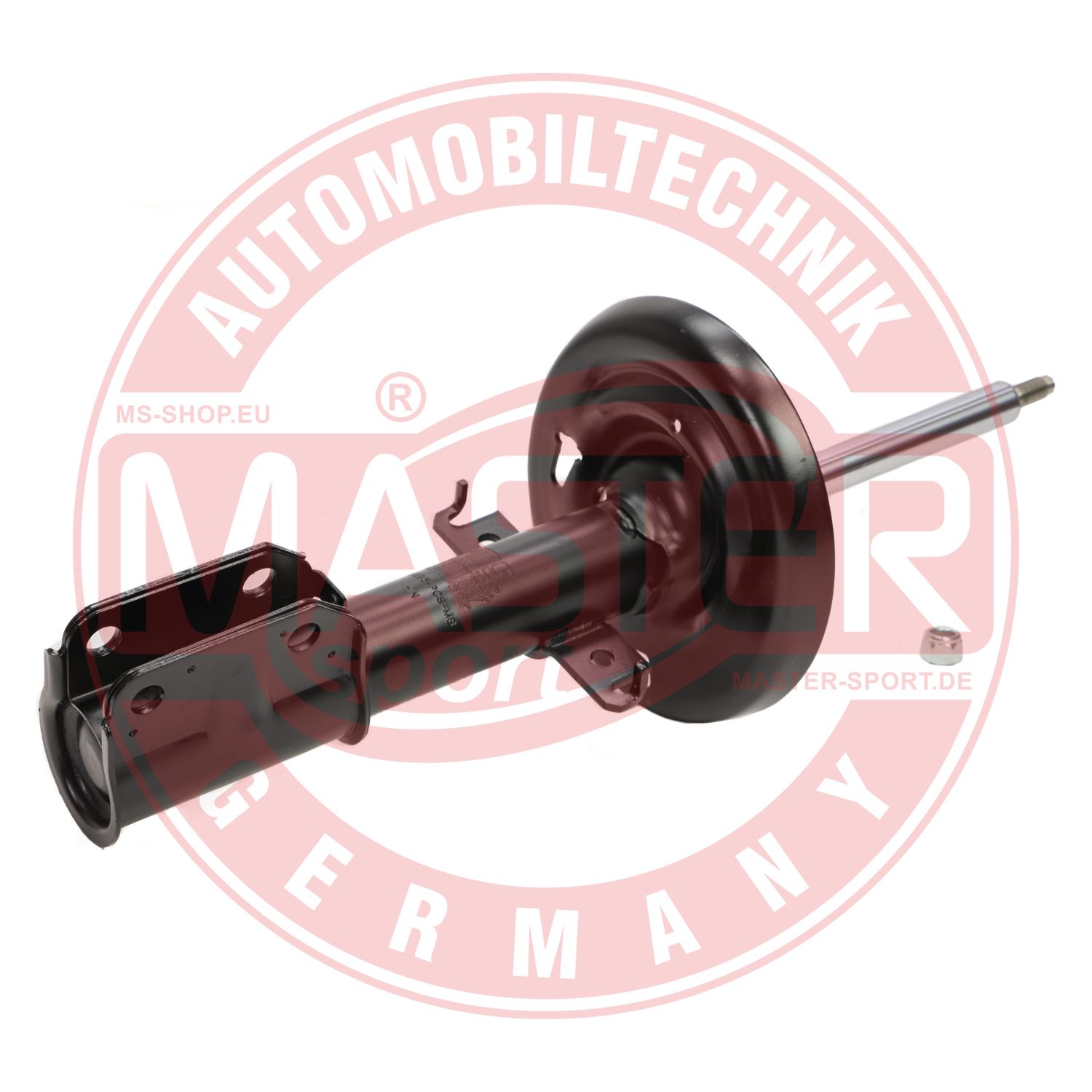 315296-PCS-MS