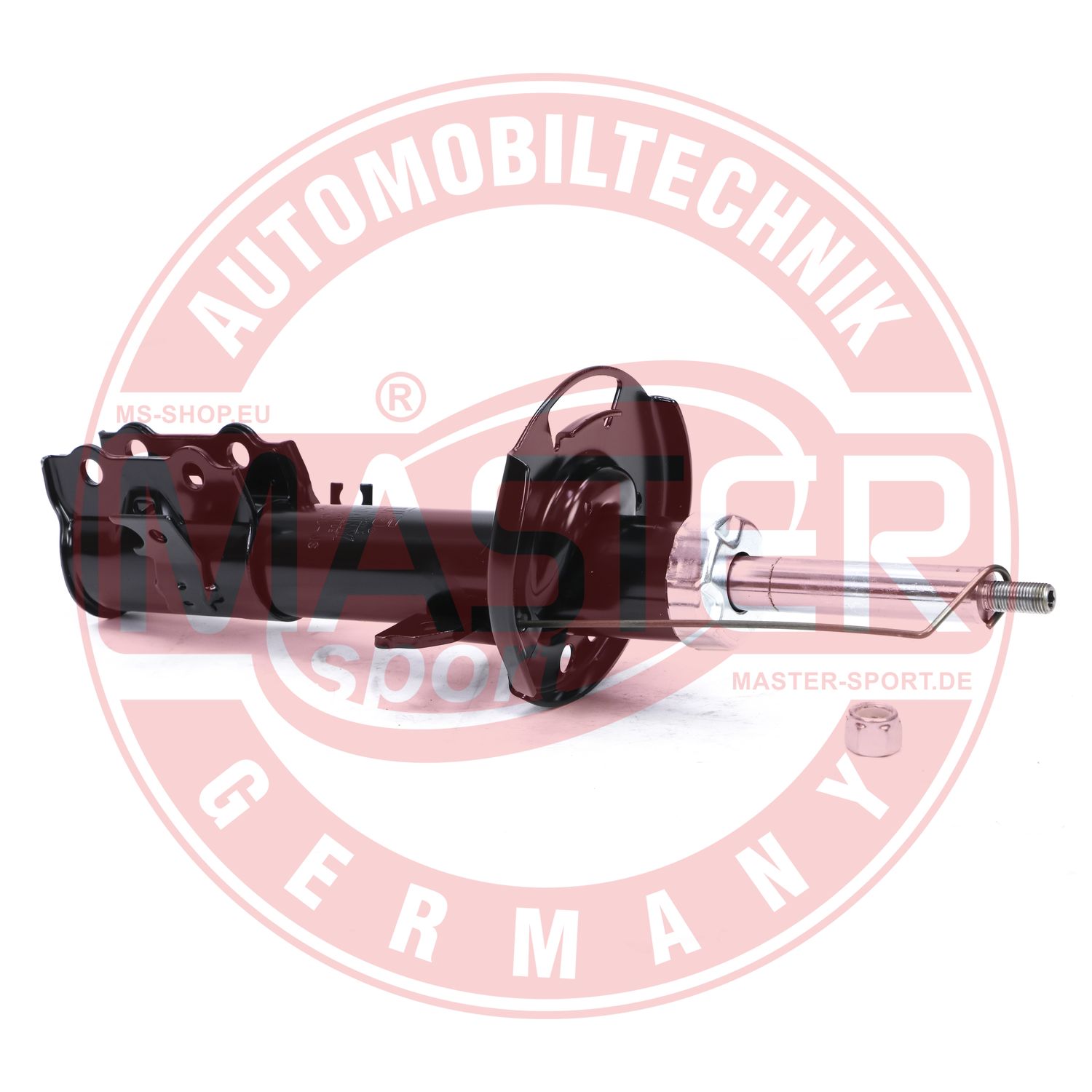 315867-PCS-MS