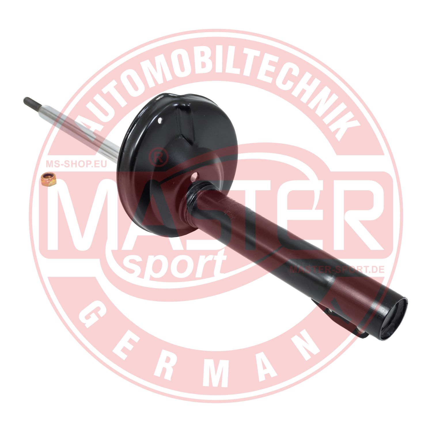 100667-PCS-MS