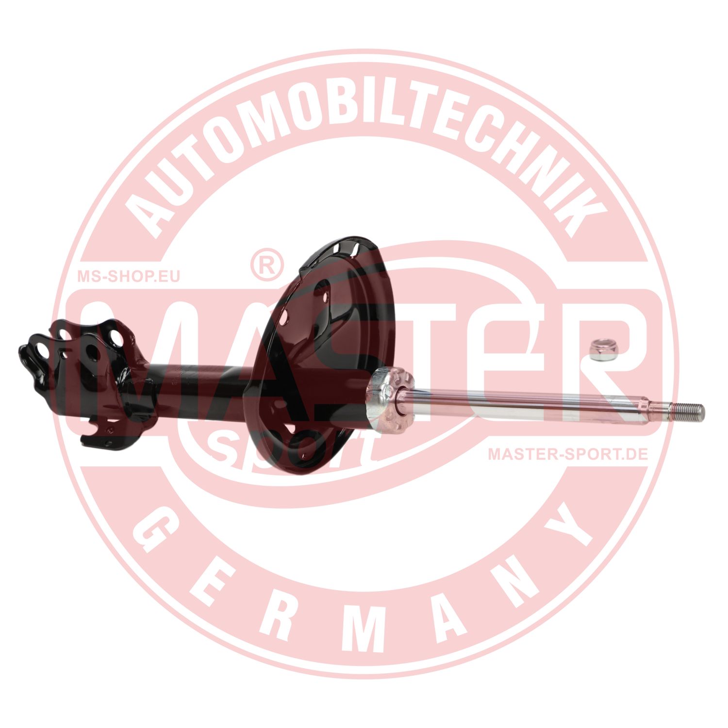 317150-PCS-MS