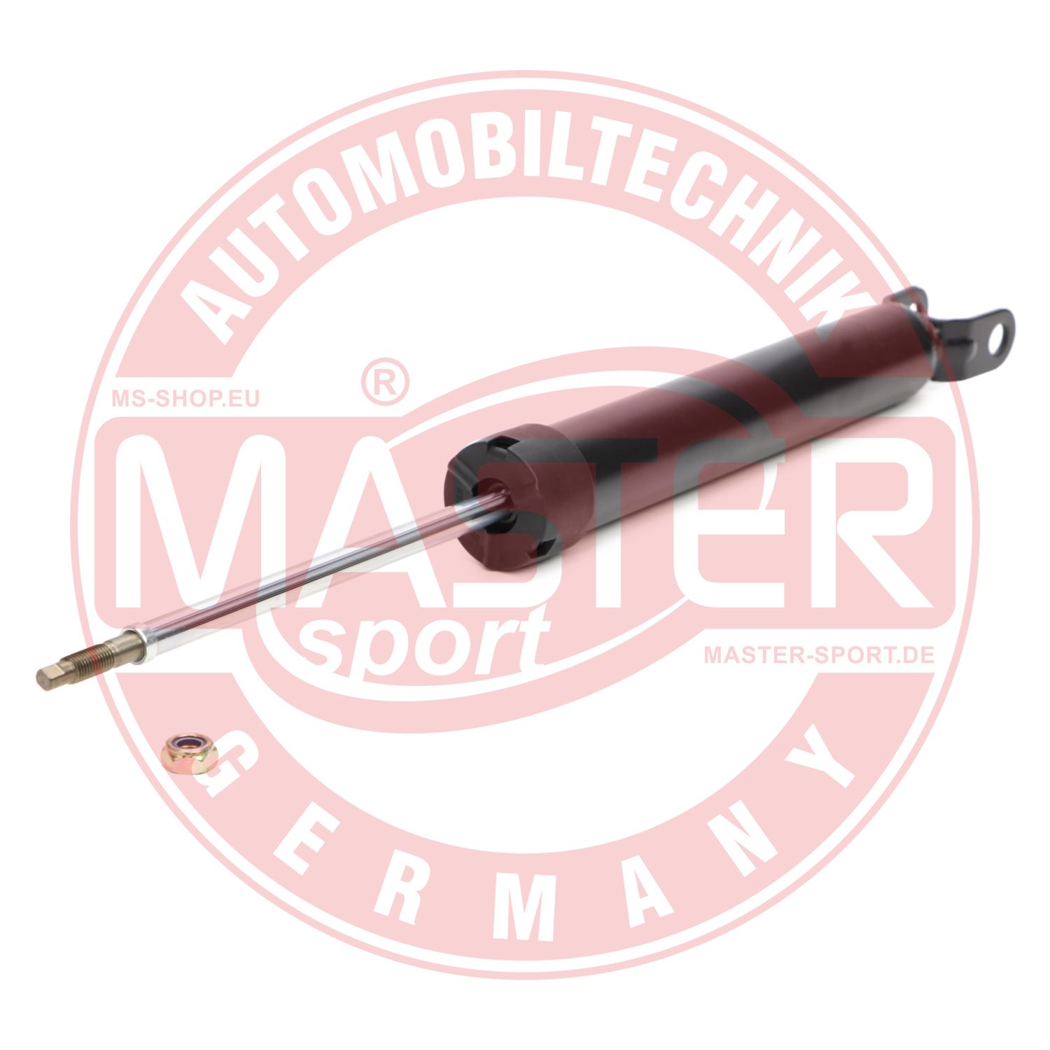 314007-PCS-MS