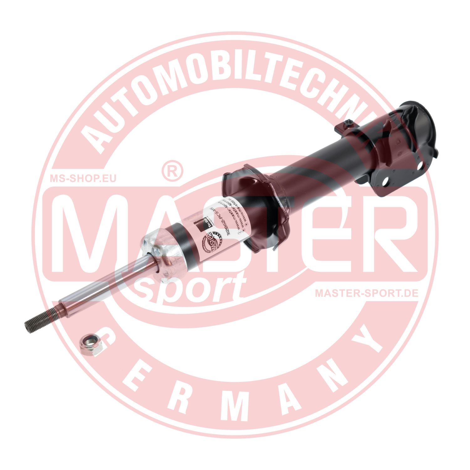 312862-PCS-MS