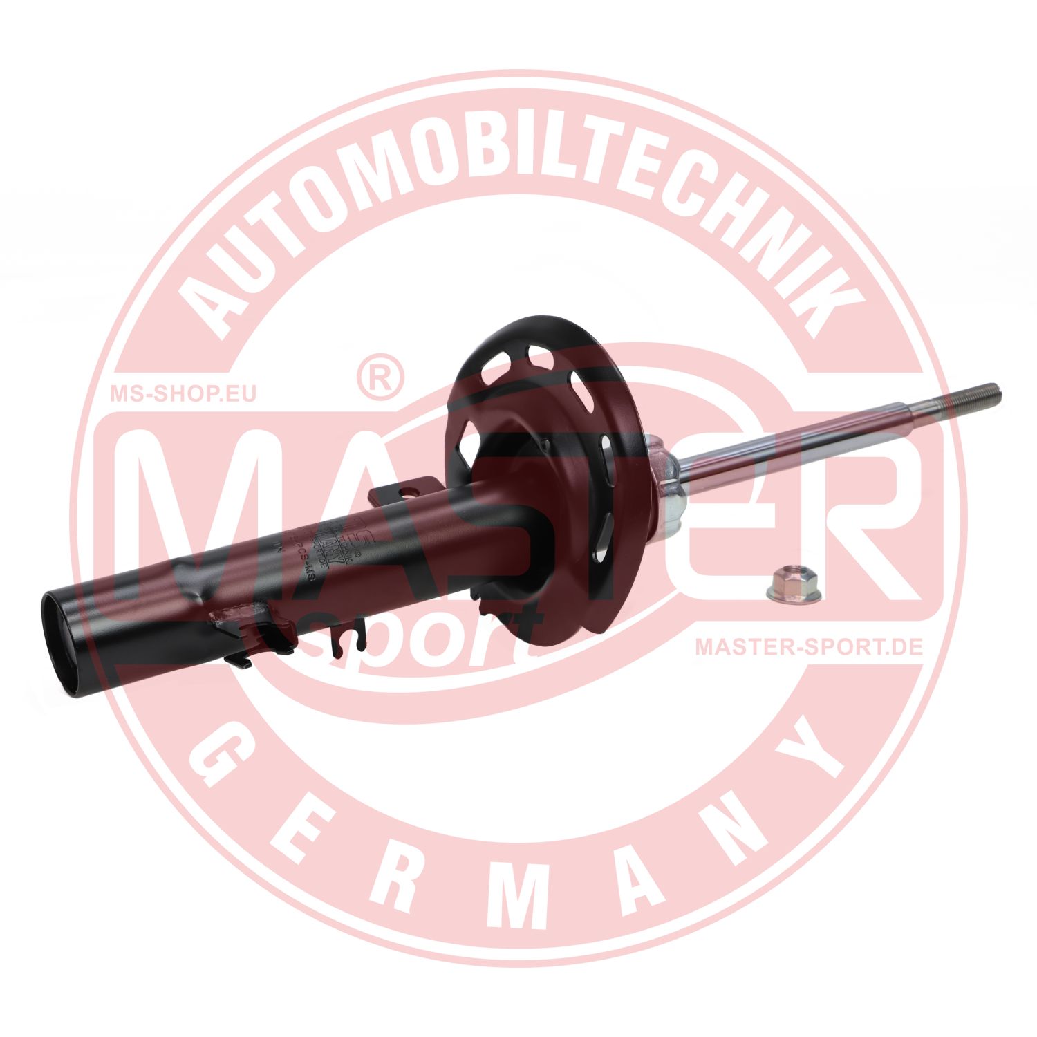 315876-PCS-MS
