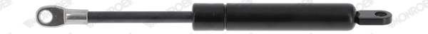 ML5496
