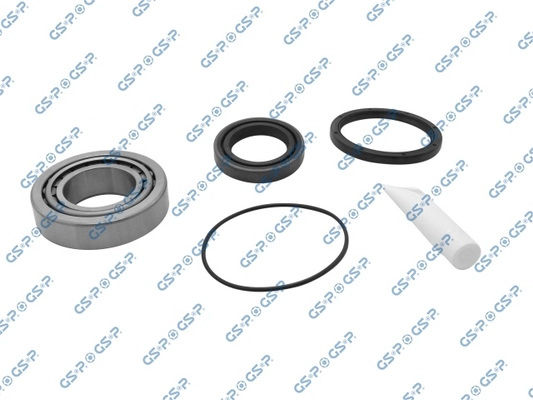 GKX0010