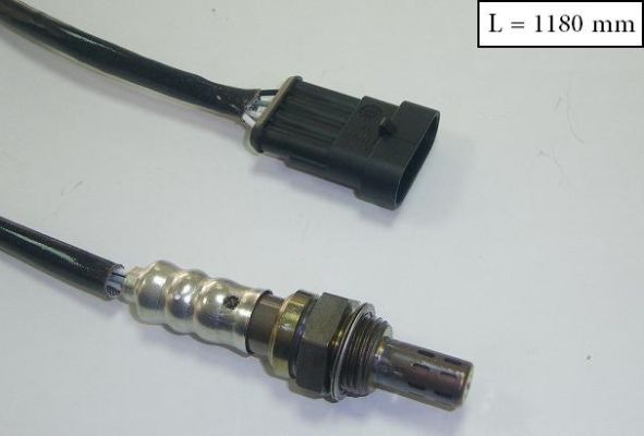 SLS-13337