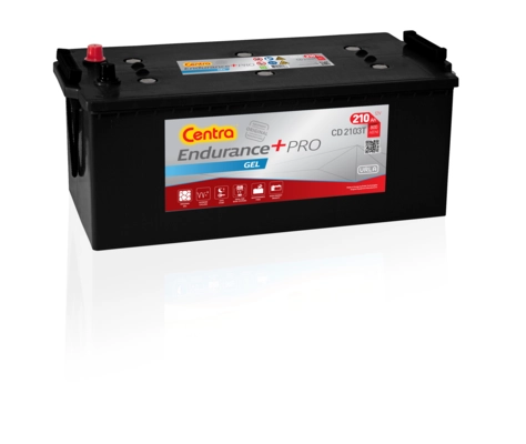 CD2103T