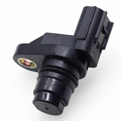 1CS569