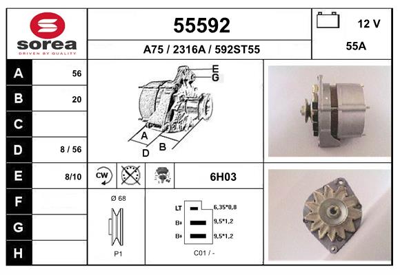 55592