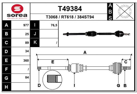T49384