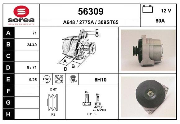 56309