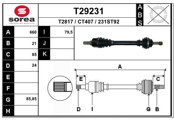 T29231