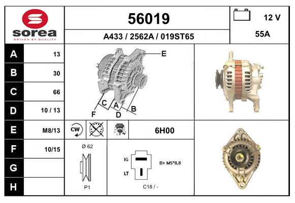 56019