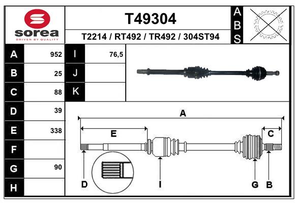 T49304