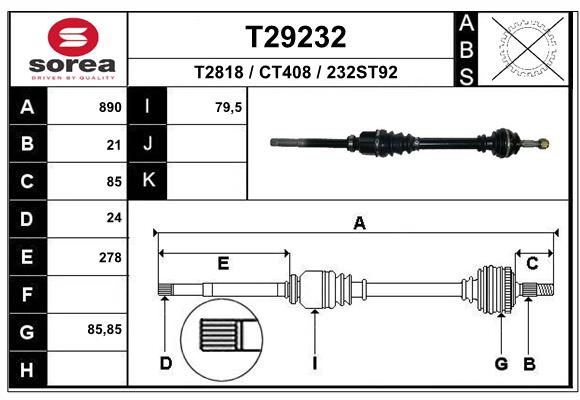 T29232