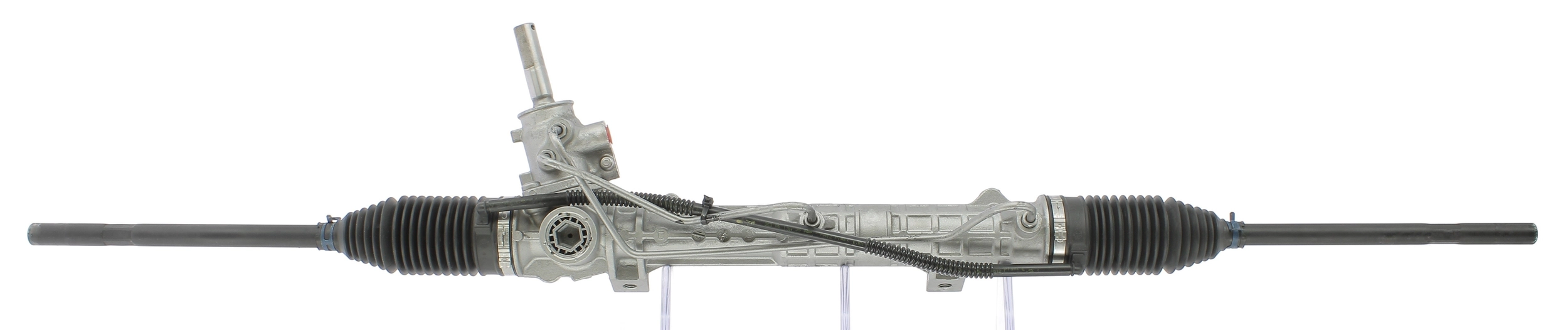 OL113058