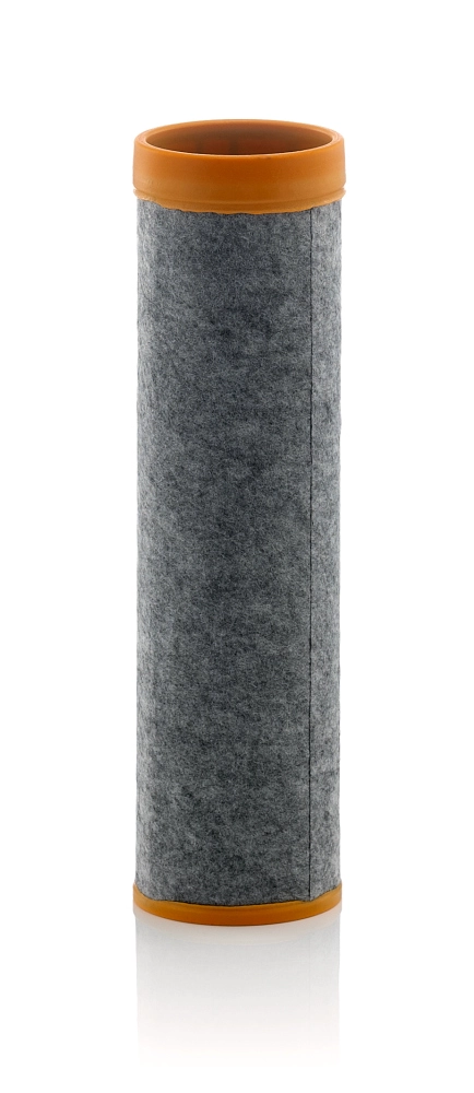 CF 10