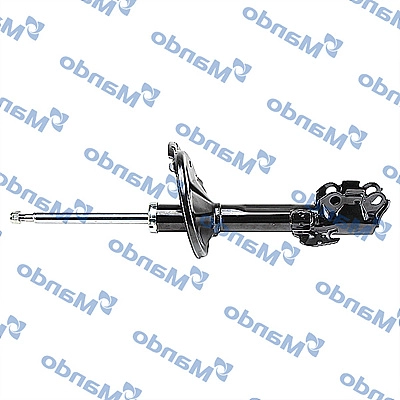 MSS020067