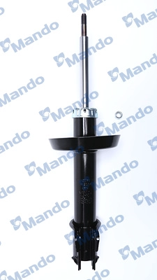MSS017384
