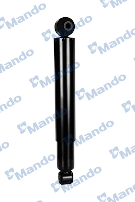 MSS016718