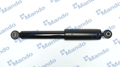 MSS016979
