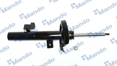 MSS016161