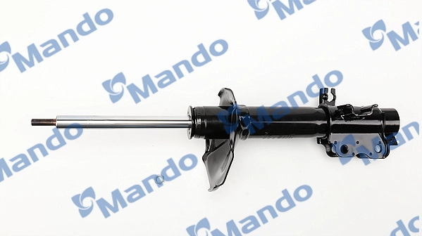 MSS016207