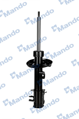 MSS017209