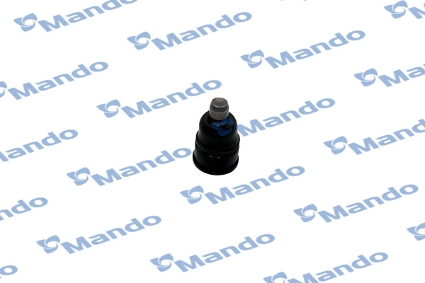 DSA020091