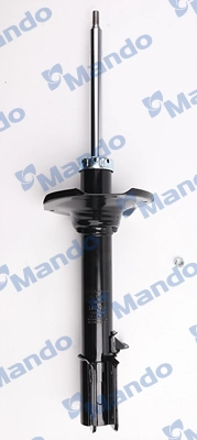 MSS015891
