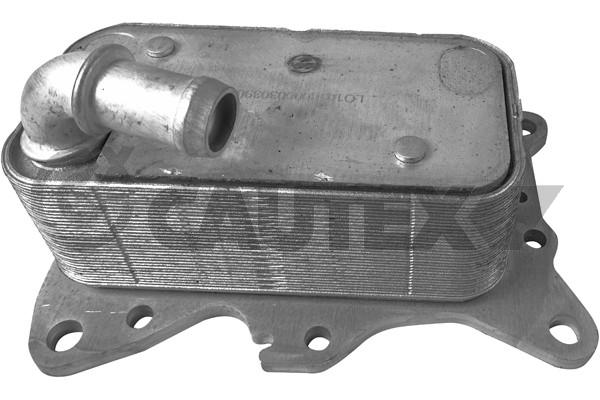 751804
