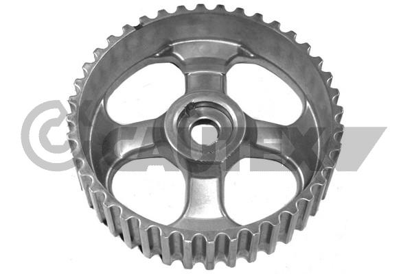 7700111951