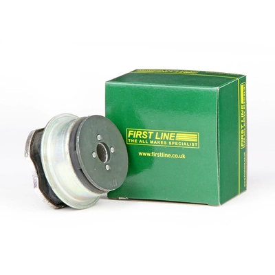 FSM2004