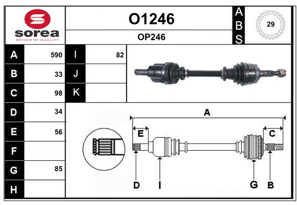 O1246