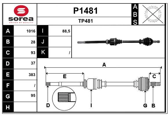 P1481