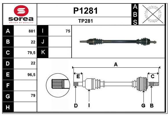 P1281