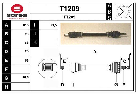 T1209