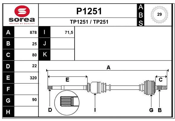 P1251