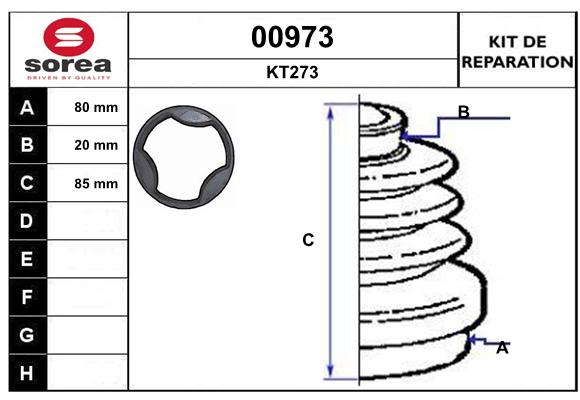 31256021