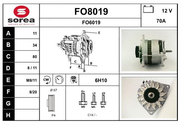 FO8019