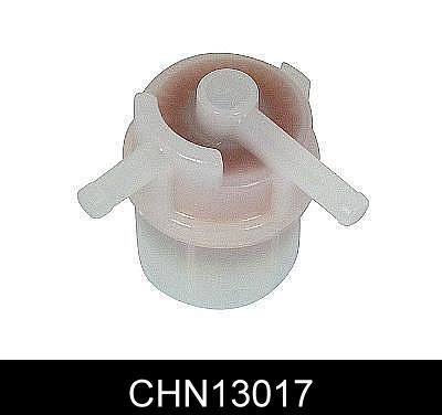 CHN13017