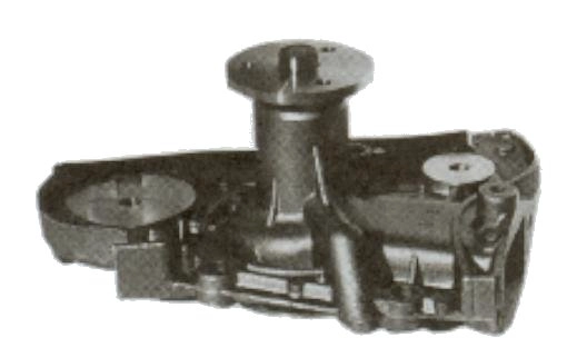 CMZ21009