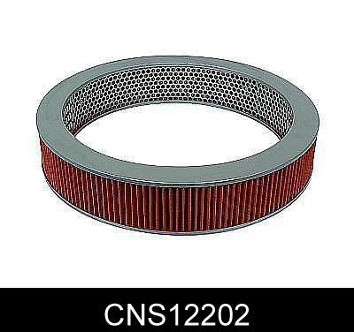 CNS12202
