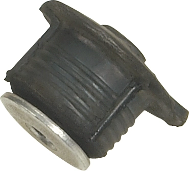 R58096