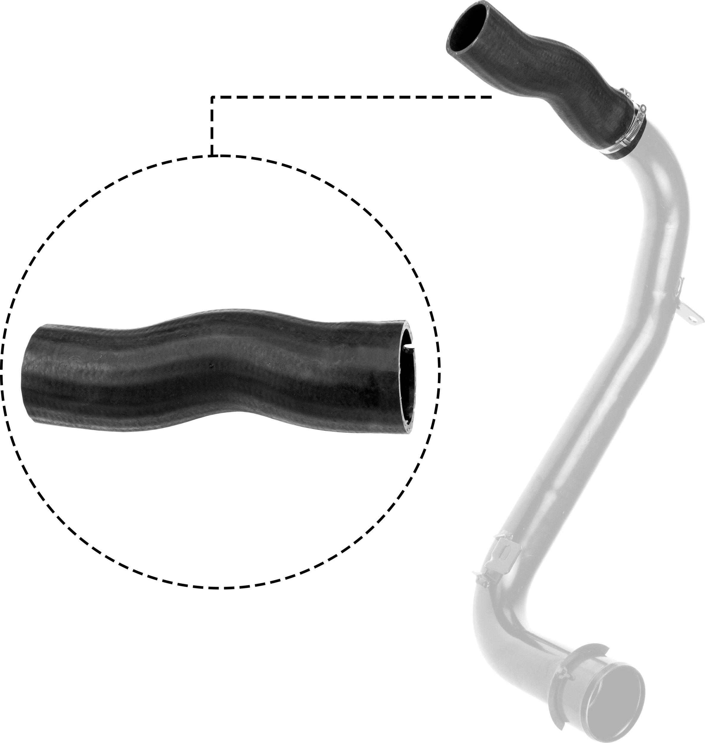 R11813